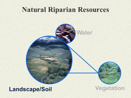 Natural Riparian Resources Vegetation Landscape/Soil Water.