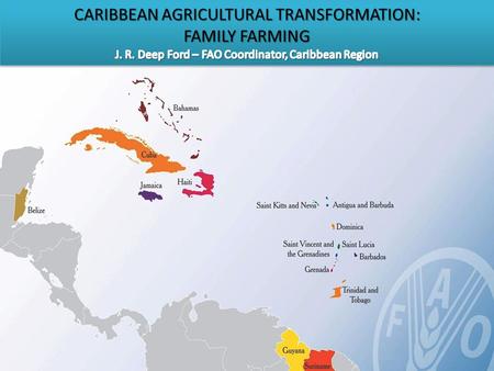 Table of Contents 1.International Year of Family Farming – An Opportunity 2.Family Farming in the Caribbean – Conceptual Challenges 3.Small/Family Farming.
