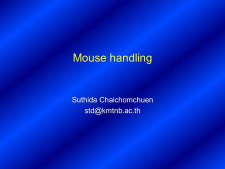 Mouse handling Suthida Chaichomchuen
