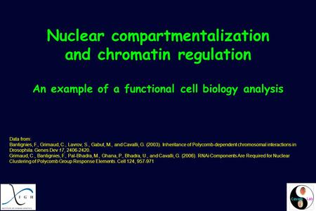 Nuclear compartmentalization and chromatin regulation