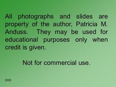 All photographs and slides are property of the author, Patricia M. Anduss. They may be used for educational purposes only when credit is given. Not for.