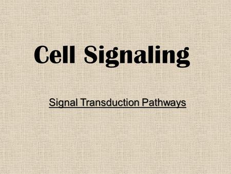 Cell Signaling Signal Transduction Pathways. Cellular Signaling Autocrine Signals – Diffuse from one part of a cell to another part of the same cell Synaptic.