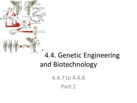 4.4. Genetic Engineering and Biotechnology 4.4.7 to 4.4.8 Part 2.