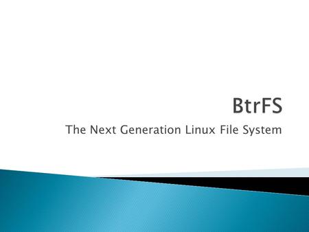 The Next Generation Linux File System
