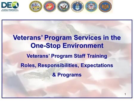 1 Veterans’ Program Services in the One-Stop Environment Veterans’ Program Staff Training Roles, Responsibilities, Expectations & Programs.