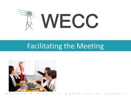 Facilitating the Meeting