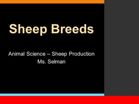 Animal Science – Sheep Production