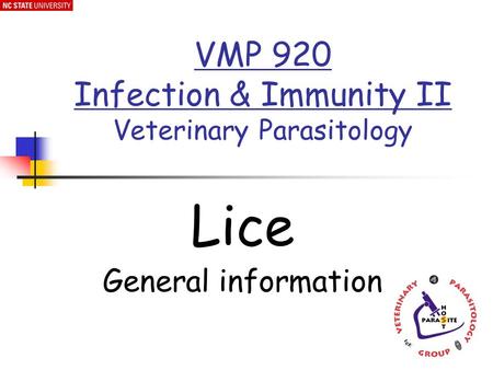 Lice General information VMP 920 Infection & Immunity II Veterinary Parasitology.