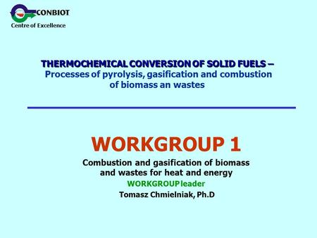 Centre of Excellence THERMOCHEMICAL CONVERSION OF SOLID FUELS – THERMOCHEMICAL CONVERSION OF SOLID FUELS – Processes of pyrolysis, gasification and combustion.