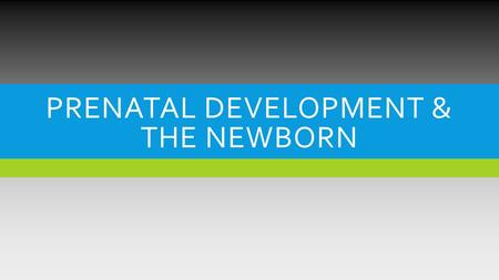 Prenatal Development & the Newborn