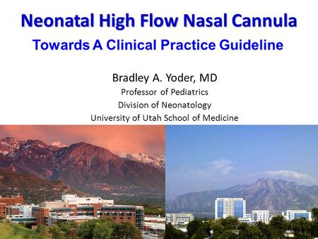 Neonatal High Flow Nasal Cannula