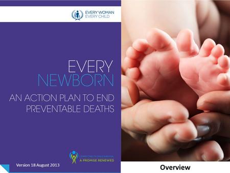 Overview Version 18 August 2013. Outline Why are 3 million newborns dying? Can we change? Where do we want to be in 2035? [Target setting and other analyses]
