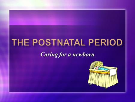 Caring for a newborn. The Postnatal Period Post Natal Time after birth Post Natal Time after birth.