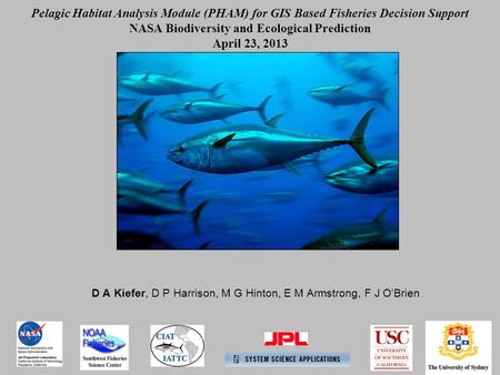 D A Kiefer, D P Harrison, M G Hinton, E M Armstrong, F J O’Brien Pelagic Habitat Analysis Module (PHAM) for GIS Based Fisheries Decision Support NASA Biodiversity.