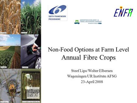 Non-Food Options at Farm Level Annual Fibre Crops Steef Lips/Wolter Elbersen Wageningen UR Institute AFSG 23-April 2008.