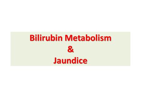 Bilirubin Metabolism & Jaundice