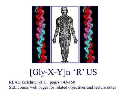 [Gly-X-Y]n ‘R’ US READ Gelehrter et al. pages