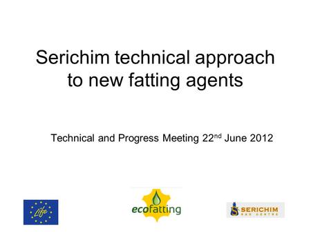 Serichim technical approach to new fatting agents Technical and Progress Meeting 22 nd June 2012.