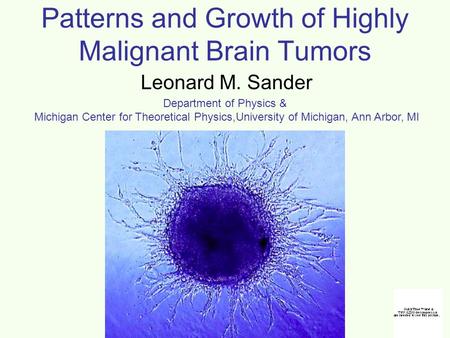 Patterns and Growth of Highly Malignant Brain Tumors Leonard M. Sander Department of Physics & Michigan Center for Theoretical Physics,University of Michigan,