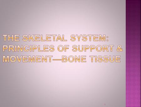 1.  Functions of Bone and Skeletal System  Structure of Bone  Histology of Bone Tissue  Blood and Nerve Supply of Bone  Bone Formation  Bone’s Role.