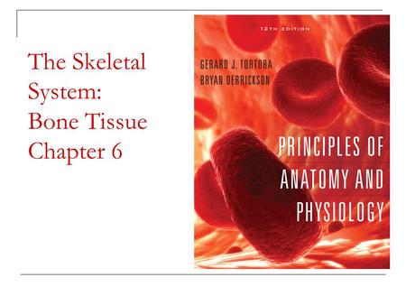The Skeletal System: Bone Tissue Chapter 6