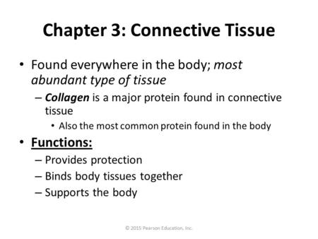 Chapter 3: Connective Tissue