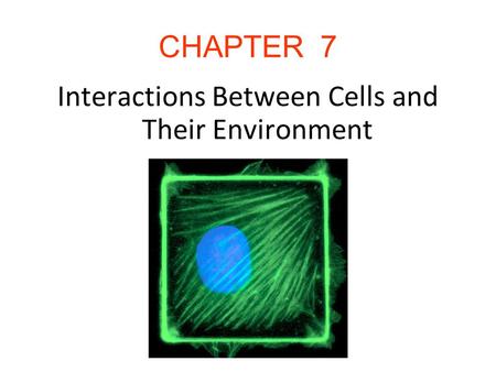 Interactions Between Cells and Their Environment