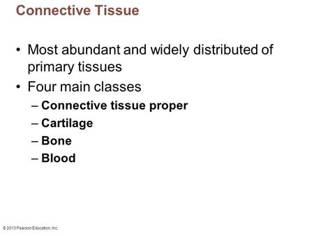Most abundant and widely distributed of primary tissues