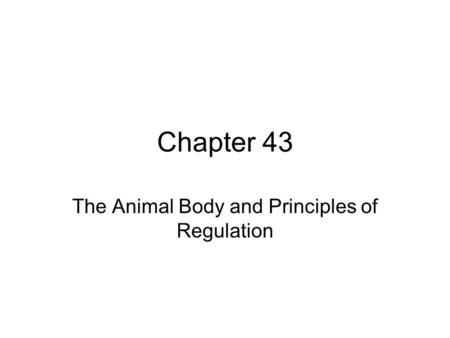 The Animal Body and Principles of Regulation