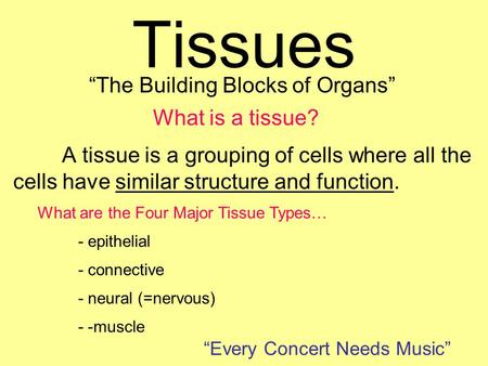 Tissues A tissue is a grouping of cells where all the cells have similar structure and function. What are the Four Major Tissue Types… - epithelial - connective.