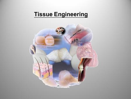 Tissue Engineering.  Mouse Ears 1997 MIT.