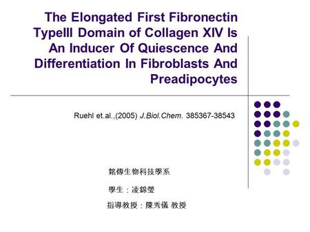 The Elongated First Fibronectin TypeIII Domain of Collagen XIV Is An Inducer Of Quiescence And Differentiation In Fibroblasts And Preadipocytes Ruehl et.al.,(2005)