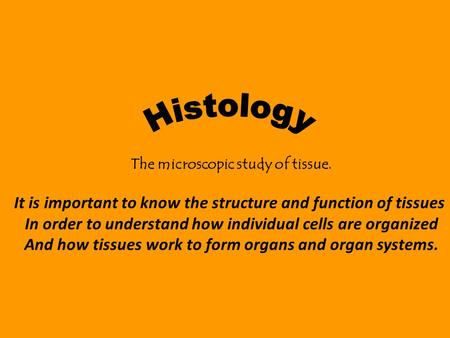 The microscopic study of tissue. It is important to know the structure and function of tissues In order to understand how individual cells are organized.