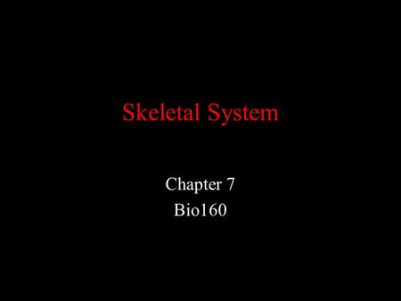 Skeletal System Chapter 7 Bio160. Functions of Bone Supports Soft Tissue Attachment of skeletal muscles via tendons; when muscles contract, movement results.