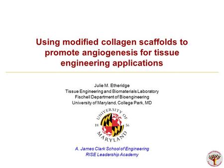 Using modified collagen scaffolds to promote angiogenesis for tissue engineering applications Julie M. Etheridge Tissue Engineering and Biomaterials Laboratory.