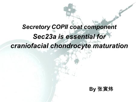 Secretory COPII coat component Sec23a is essential for craniofacial chondrocyte maturation By 张寅炜.