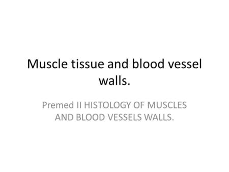 Muscle tissue and blood vessel walls. Premed II HISTOLOGY OF MUSCLES AND BLOOD VESSELS WALLS.