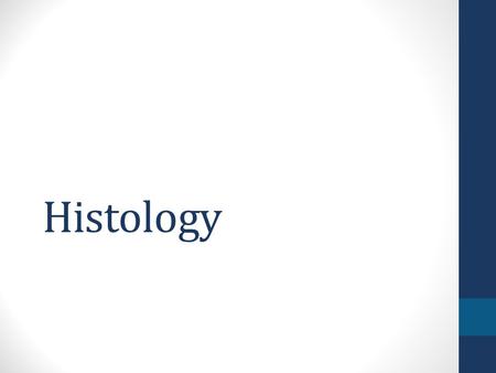 Histology.