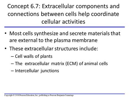 Concept 6.7: Extracellular components and connections between cells help coordinate cellular activities Most cells synthesize and secrete materials that.