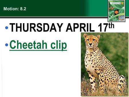 Motion: 8.2 THURSDAY APRIL 17 th Cheetah clip (c) McGraw Hill Ryerson 2007.