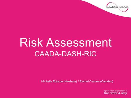 Risk Assessment CAADA-DASH-RIC Michelle Robson (Newham) / Rachel Ozanne (Camden)