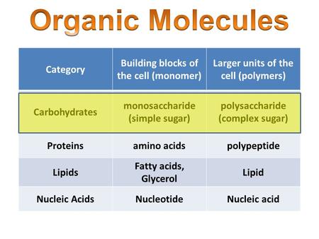 Category Building blocks of the cell (monomer) Larger units of the cell (polymers) Carbohydrates monosaccharide (simple sugar) polysaccharide (complex.