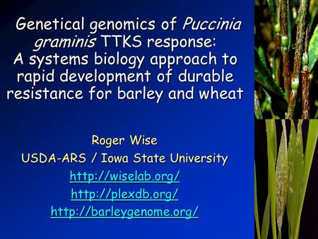 Roger Wise USDA-ARS / Iowa State University    Genetical genomics of Puccinia graminis TTKS.