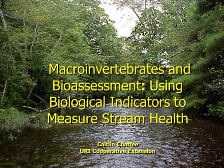 Macroinvertebrates and Bioassessment: Using Biological Indicators to Measure Stream Health Caitlin Chaffee URI Cooperative Extension.