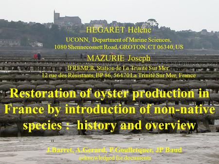 Restoration of oyster production in France by introduction of non-native species : history and overview J.Barret, A.Gerard, P.Goulletquer, JP Baud acknowledged.