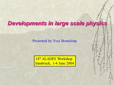 Developments in large scale physics Presented by Yves Bouteloup 14 th ALADIN Workshop Innsbruck, 1-4 June 2004.