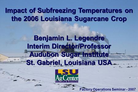 Impact of Subfreezing Temperatures on the 2006 Louisiana Sugarcane Crop Benjamin L. Legendre Interim Director/Professor Audubon Sugar Institute St. Gabriel,