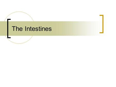 The Intestines. Small and large intestines Some disease processes are common to both In other ways they are functionally and pathologically different.