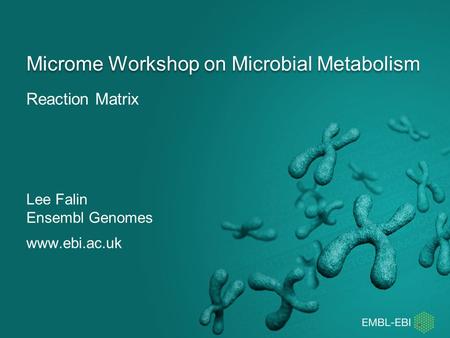 Reaction Matrix Microme Workshop on Microbial Metabolism Lee Falin Ensembl Genomes www.ebi.ac.uk.