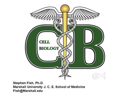 Stephen Fish, Ph.D. Marshall University J. C. E. School of Medicine Fish@Marshall.edu.